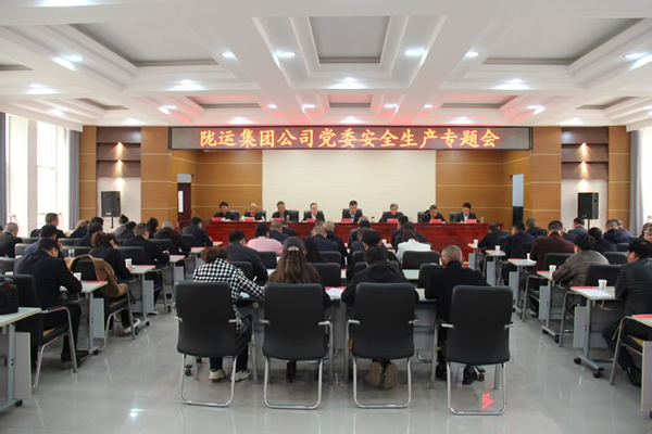 隴運(yùn)集團(tuán)公司黨委召開2025年經(jīng)濟(jì)運(yùn)行專題會議和安全生產(chǎn)專題會議